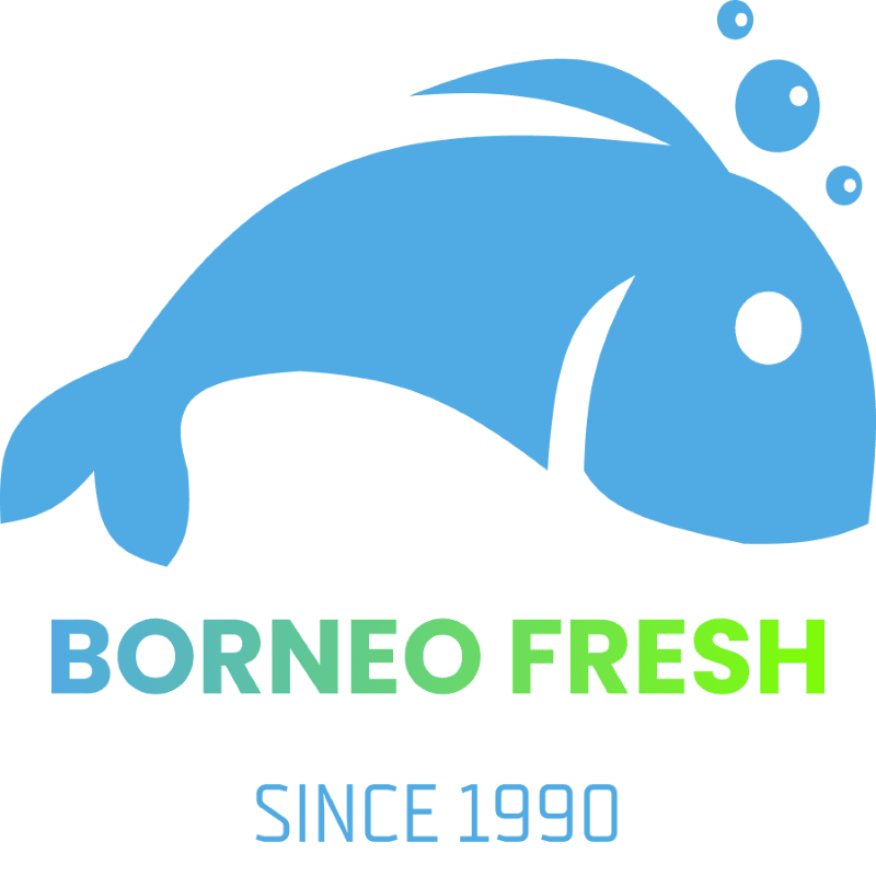 Preview of Borneofresh Logo